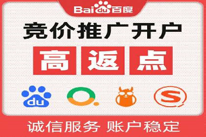 专业sem托管服务案例，揭秘广告投放优化策略